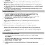 resume format for business development manager