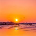 Find Jobs in Dubai
