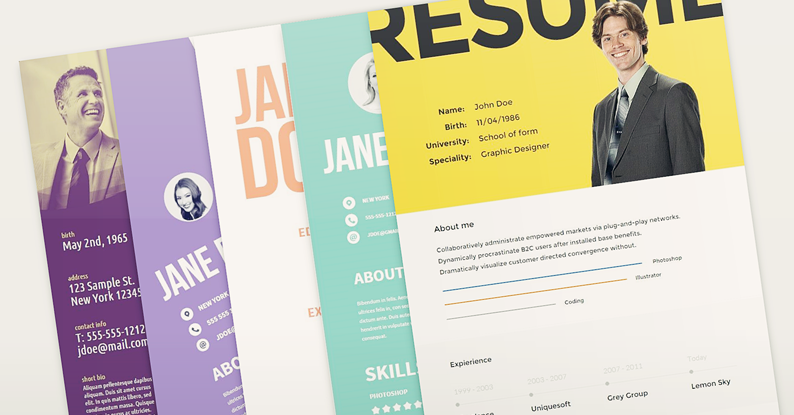 2016 new resume format